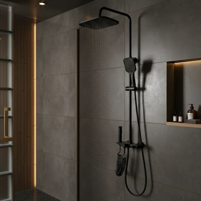 Colonne de Douche Thermostatique Noir Mat avec Douchette à Main | WISMAR