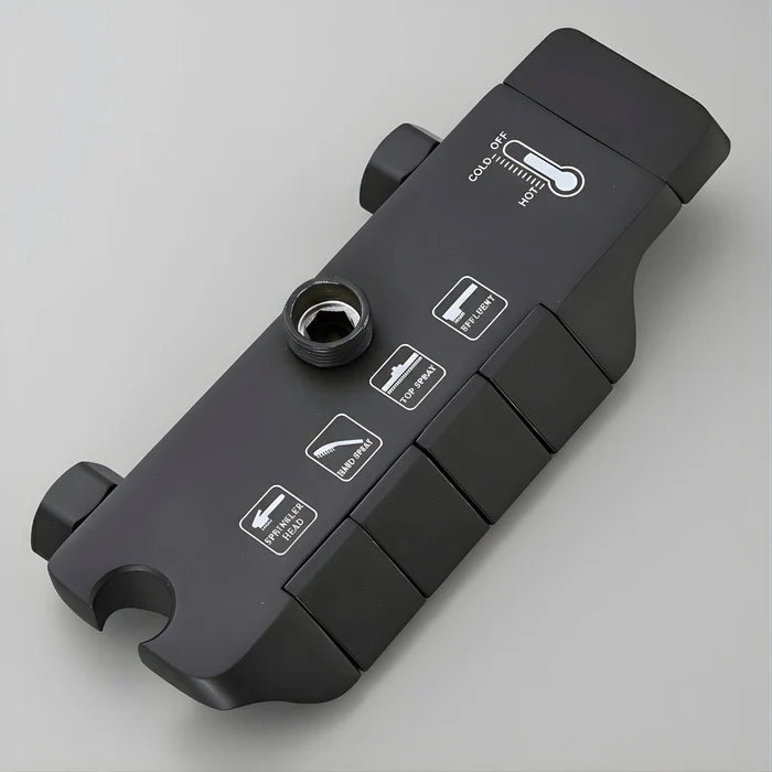 Colonne de Douche Thermostatique Noir Mat avec Douchette à Main | WISMAR
