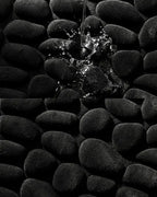 Tapis de Bain Galets Antidérapant – Effet Massant 3D Noir | 40x60cm