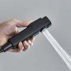 Colonne de Douche Thermostatique Noir Mat avec Douchette à Main | WISMAR