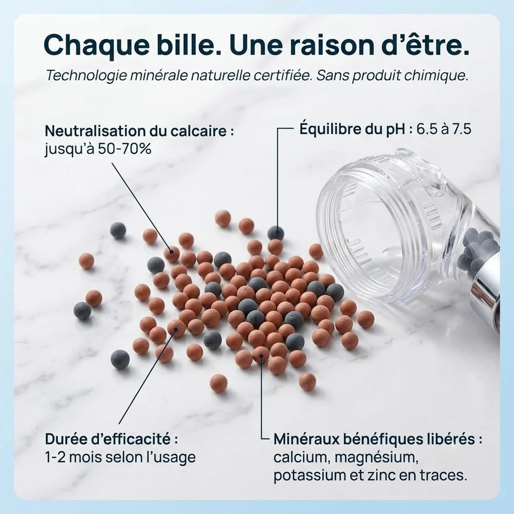 Pommeau de Douche Filtrant et Anticalcaire — Billes Minérales, 3 Modes | ERFURT